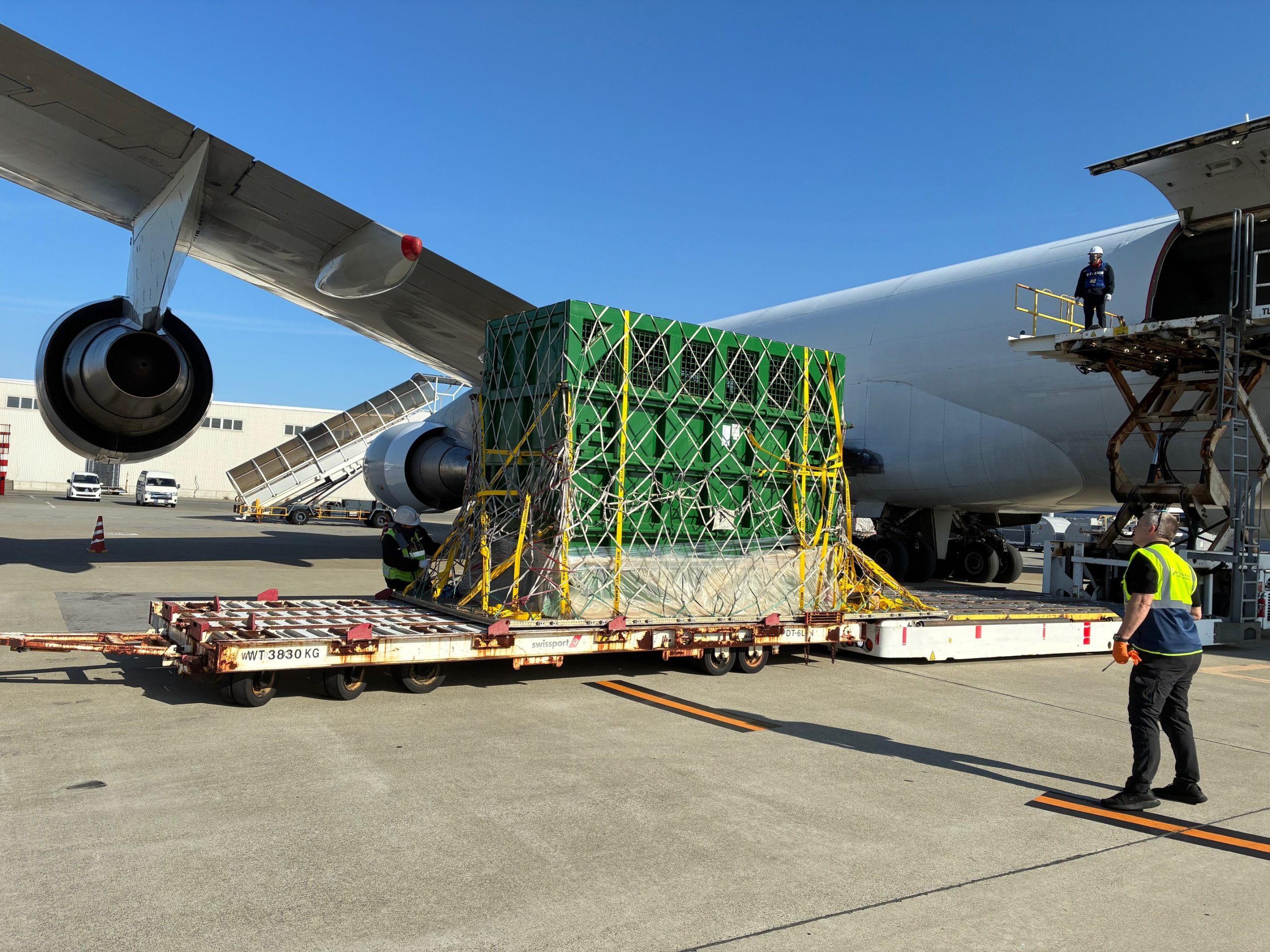 NAM Relocates 3 Asian Elephants to Japan